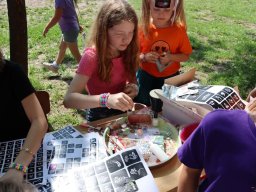 50328026311728942279718573531955657668579591n